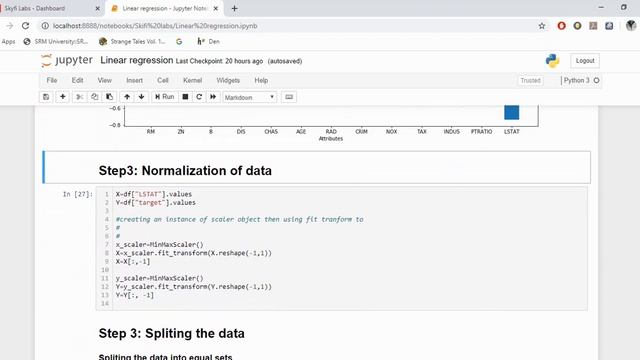 Machine Learning using Python - Project assignment for Skyfi Labs Online Course смотреть онлайн