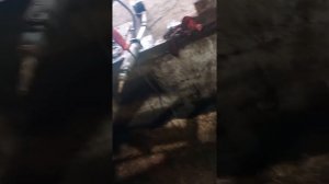 Терекс 840 снятие рулевого цилиндра