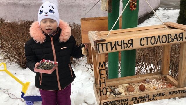Покормите птиц зимой!0 смотреть онлайн