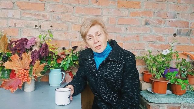 Славянск, утро 4 октября 2022. Про славянский хлеб? смотреть онлайн