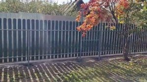 Установка забора, Металлический штакетник (забор)