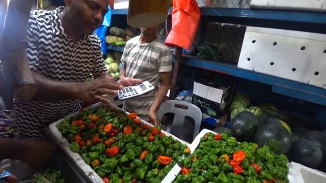 Мозаики Путешествий