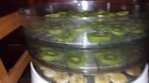 Сушилка для Фруктов.Сушим ? Банан, Киви и Клюкву