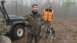 Охота на  косулю и кабана Часть 1: Выезд и первый загон.