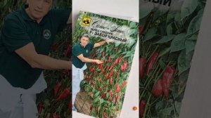 ОБЗОР перца ? ЗАБОР КРАСНЫЙ f1 от Семко