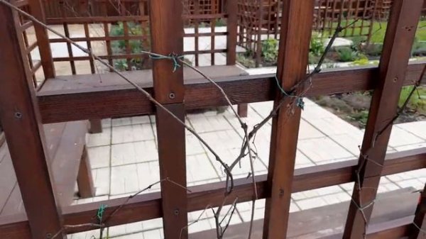 БЕСЕДКА-ПЕРГОЛА своими руками/gazebo-pergola