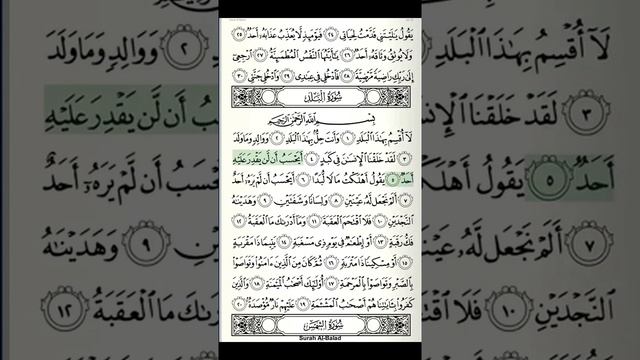 Al-Quran Recitation | Juzu 30 | Page 594 | Surah Al-Fajr Verse 24-30 & Surah Al-Balad Verse 01-20 смотреть онлайн