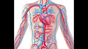 ПАРОЛЬ ДЛЯ ИСЦЕЛЕНИЯ КРОВЕНОСНОЙ СИСТЕМЫ