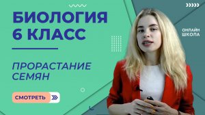 Прорастание семян. Урок 20. Биология 6 класс