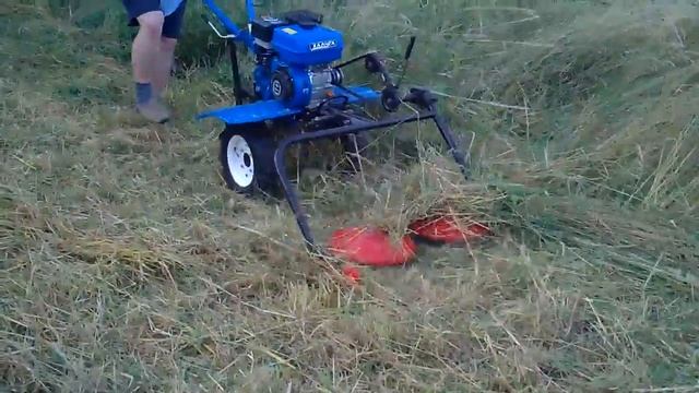 MPEG0002 смотреть онлайн