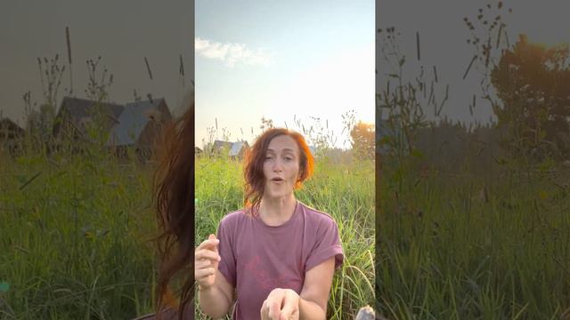 Ресурсные масляные Кедро Духи - якорь Нового состояния смотреть онлайн