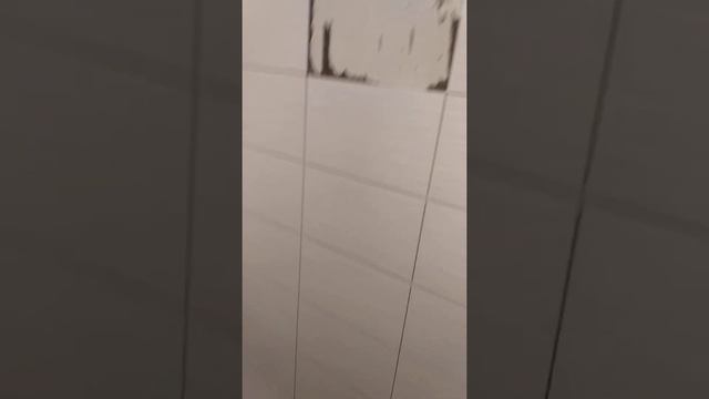 укладка плитки на гипсовую штукатурную смесь! РИСК! смотреть онлайн