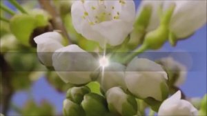 Херсонцы Керчь. Крым удивительный.