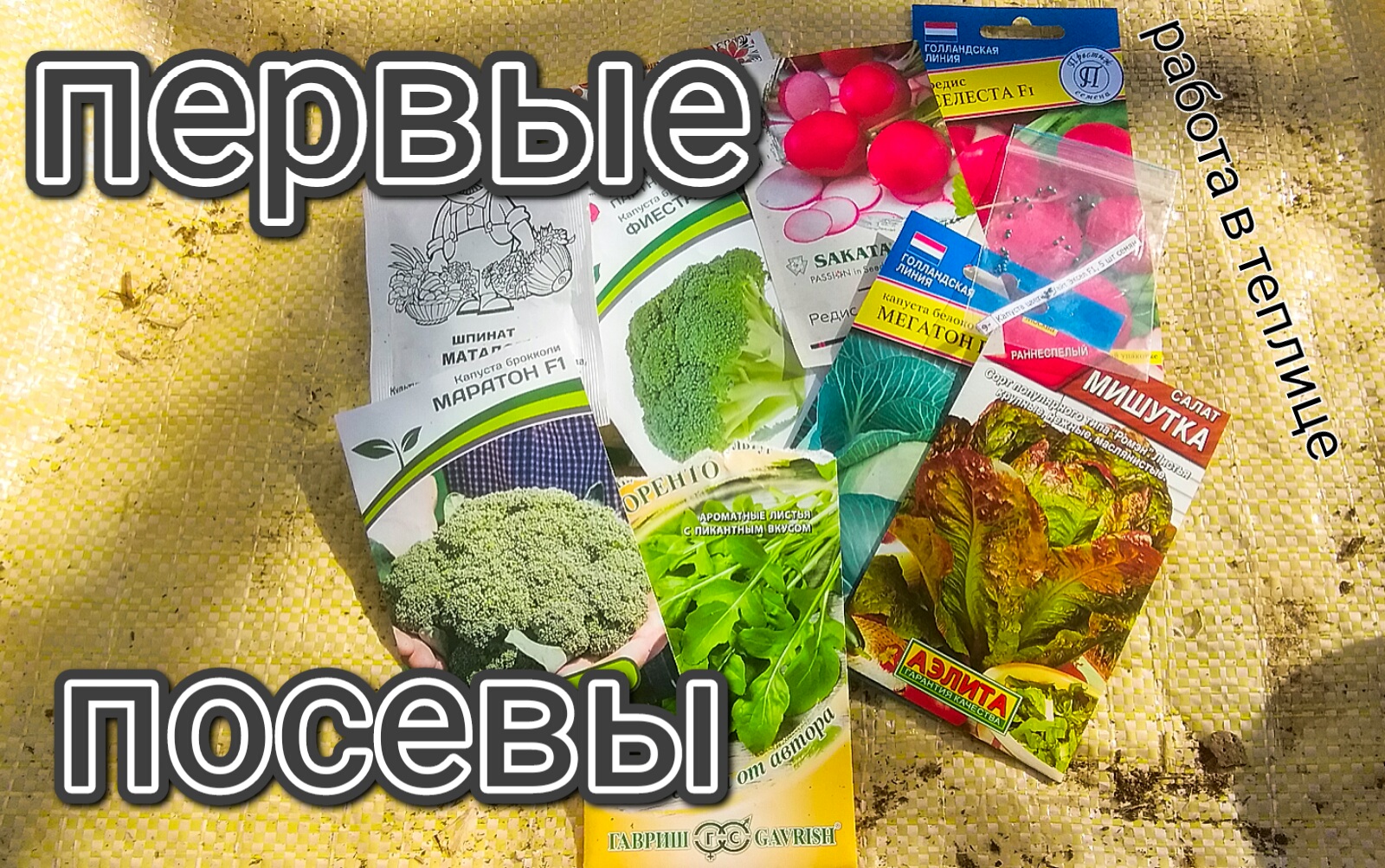 ВЕСНА! / Первые посевы в теплице/ зелень/ капуста/ редис от 23.03.22 весна #первыепосевы #деревня