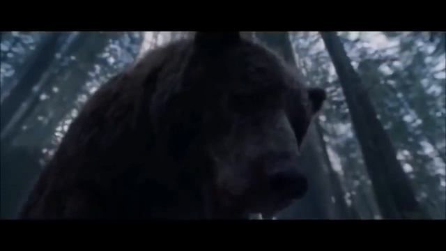 Самый большой медведь на мире смотреть онлайн