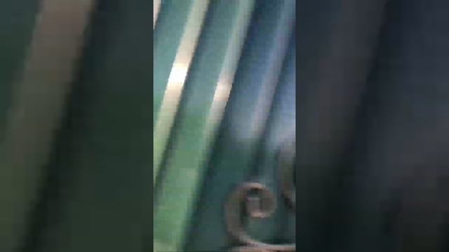 Мама Ама Аааааа! смотреть онлайн