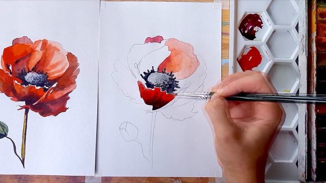 Анемон акварелью - Акварель для начинающих - Как нарисовать цветы акварелью поэтапно смотреть онлайн