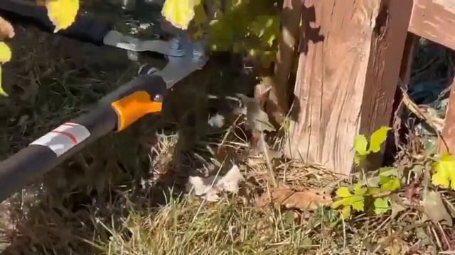 Fiskars 28" Steel Blade Garden Bypass Lopper & Tree Trimmer -Ground Steel Blade смотреть онлайн