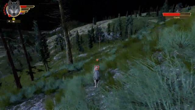 The ASHES of HOPE on a Moonless Night... ? Wolf Quest: Wolves of Thorns • #26 смотреть онлайн