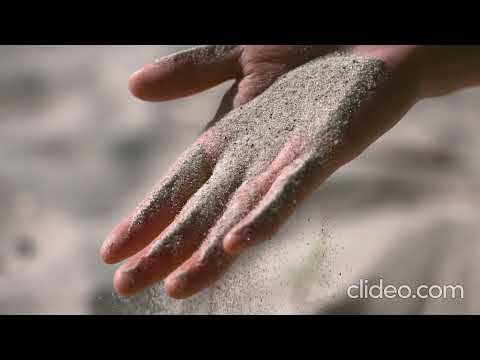 The runaway bee Макс Салтыков смотреть онлайн