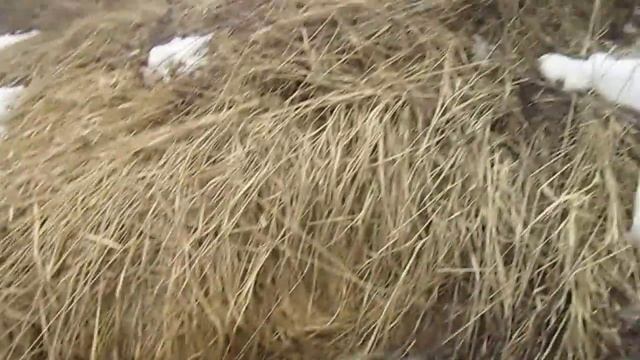 Освободить трубу от льда, 2 смотреть онлайн