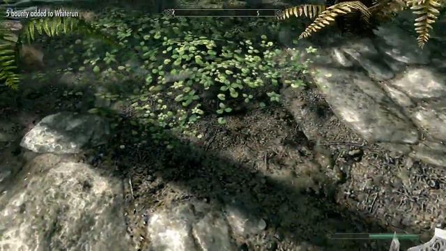 What Happens When You Kill a Chicken in Skyrim Remastered? смотреть онлайн