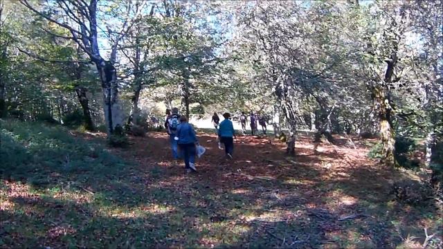 Filmato NEBRODI 10 11 OTT 2020 смотреть онлайн