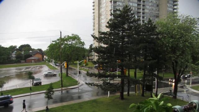 A bit of rain and the balcony garden. смотреть онлайн