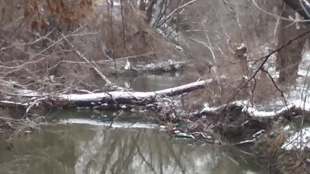 Речка " Бык" в Молдове. смотреть онлайн