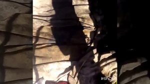 Установка поддона Зил бычок