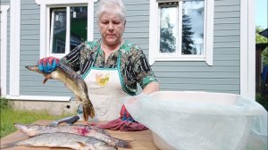 «Отдыхать - не работать»! Вся работа ещё впереди!!!