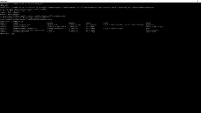 Cómo instalar Portainer, el administrador web de docker смотреть онлайн