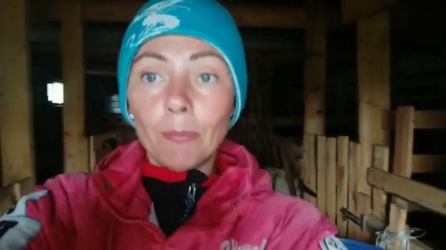 Мастит у козы. Симптомы. Лечение