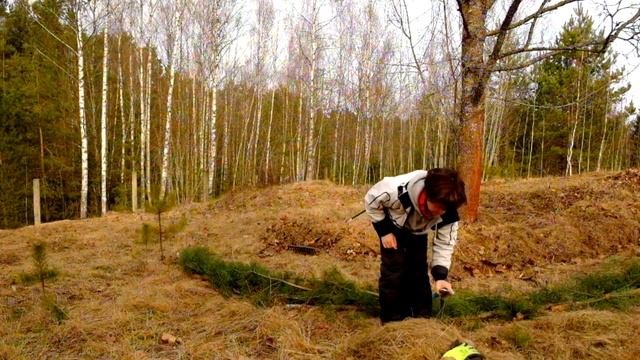 закладка гряд на дернине под кленом по принципу пермакультуры. 22.02.2020 (качество HD 1080х60) смотреть онлайн