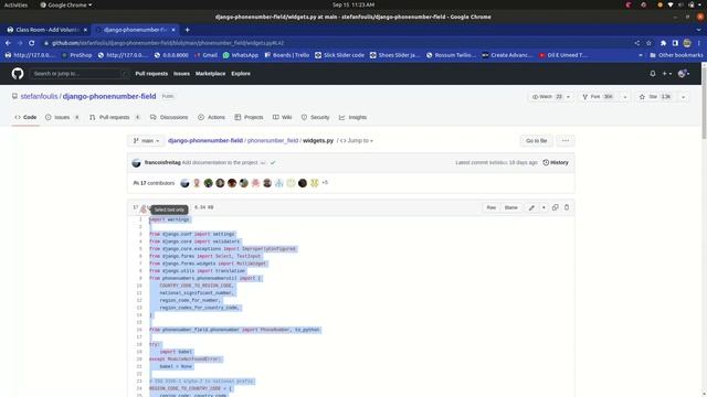 Widget initial (country code US does not initialize as United States) | phone number | Django form смотреть онлайн