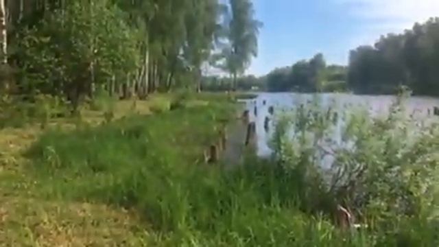 Дальний кордон смотреть онлайн