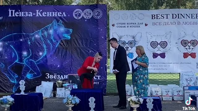  смотреть онлайн