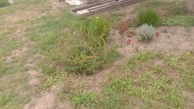 Ловля крота (слепыша). На рыболовные крючки. Часть 2-я. смотреть онлайн