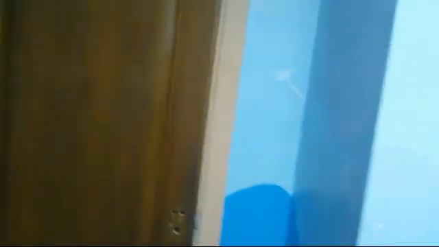 Окончание предварительного голосования