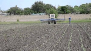 Борона мотыга ротационная БМР 5,6 (Южный ветер)