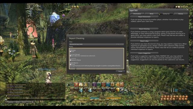 FFXIV ARR To Catch A Cheater Episode 1 - Wind Shard Warper RMT Bot смотреть онлайн