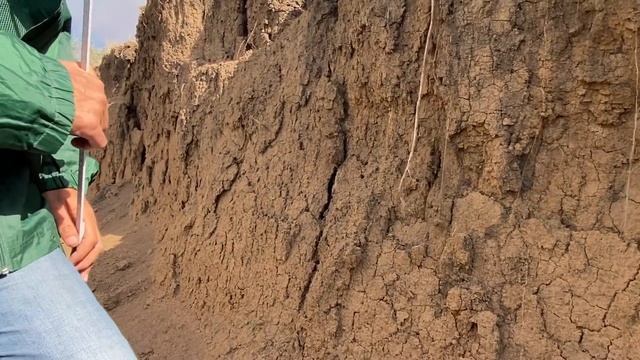 Разрез целинной почвы смотреть онлайн