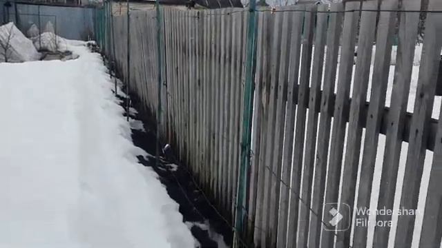 140. Редис, салат в теплице колосятся. Петрушка вкусная. смотреть онлайн