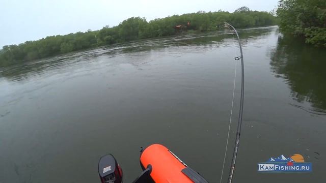 Такого клёва ещё не было - 3 большие чавычи за одно утро. Лучшая чавычёвая рыбалка на Камчатке смотреть онлайн