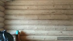 Отбеливание стен сруба.