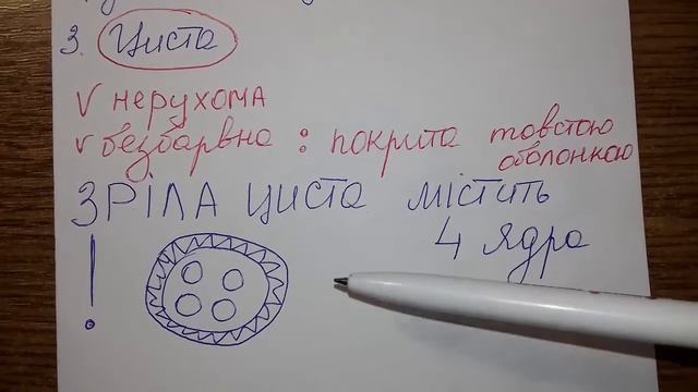 Амеба дизентерійна (Entamoeba histolytica) смотреть онлайн
