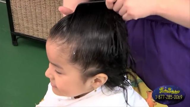 Head Lice Treatment -The Safe and Natural Way смотреть онлайн