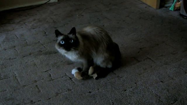 Дорогому другу смотреть онлайн
