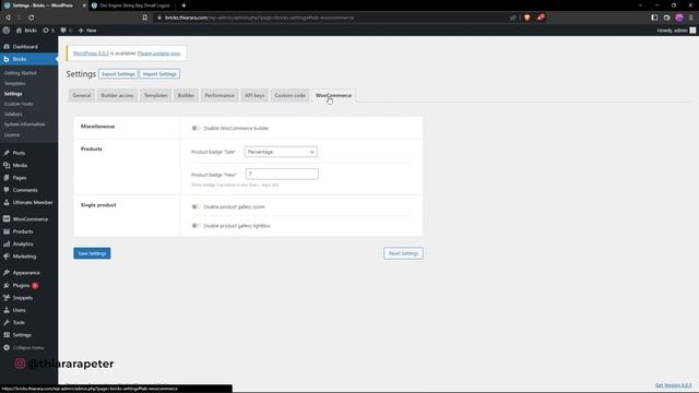 Bricks builder Tutorial - How to disable single product image zoom on hover. смотреть онлайн
