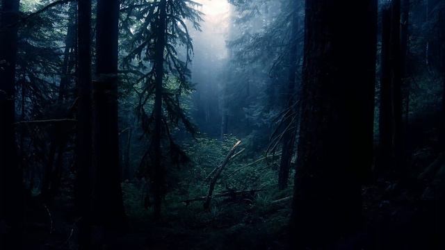 Wallpaper Fantasy FULL HD смотреть онлайн